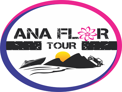 lg_ana_flor