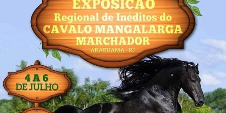 IV Exposição Regional de Inéditos do Cavalo Mangalarga Marchador