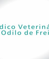 Dr. Odilo de Freitas