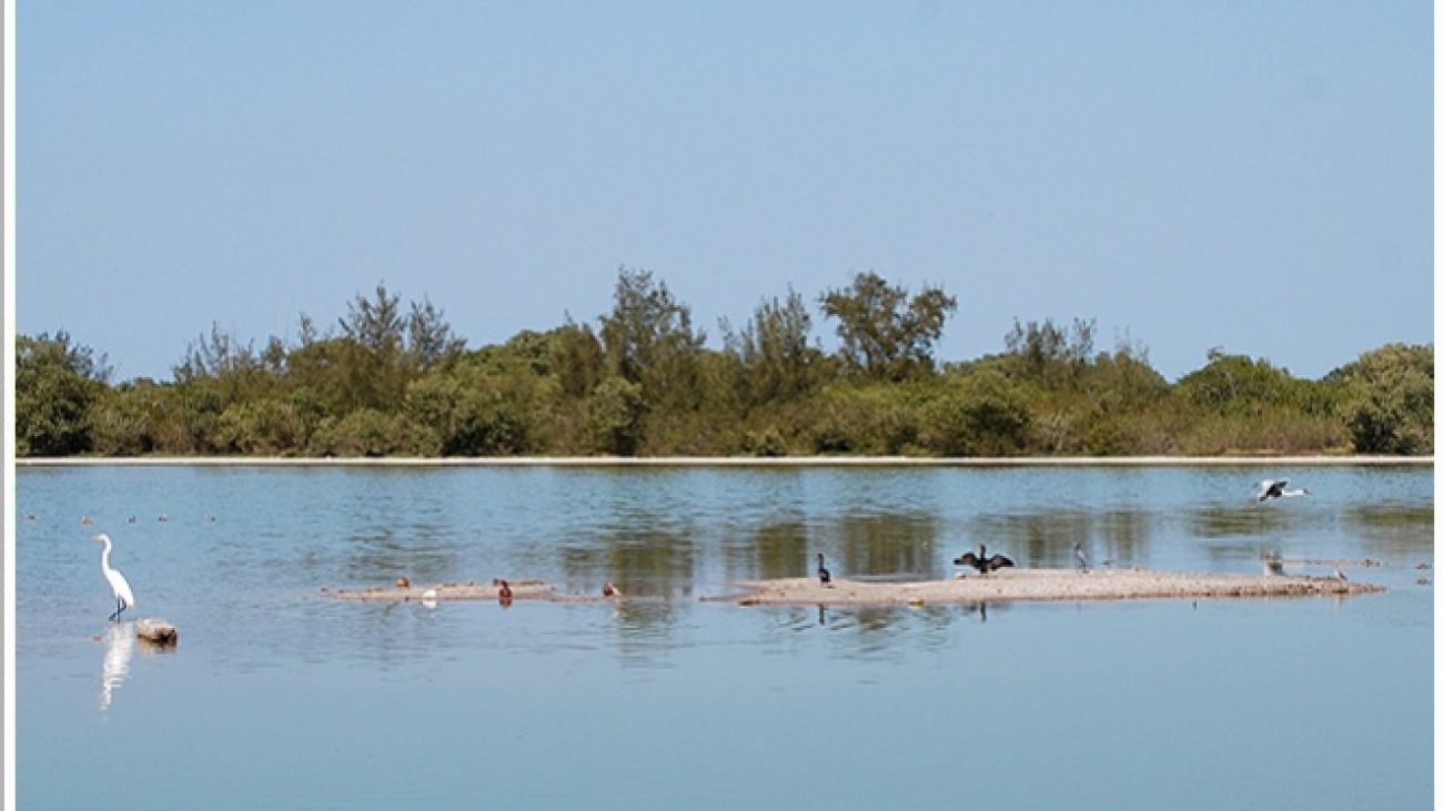 Lagoa de Pernambuca - Araruama